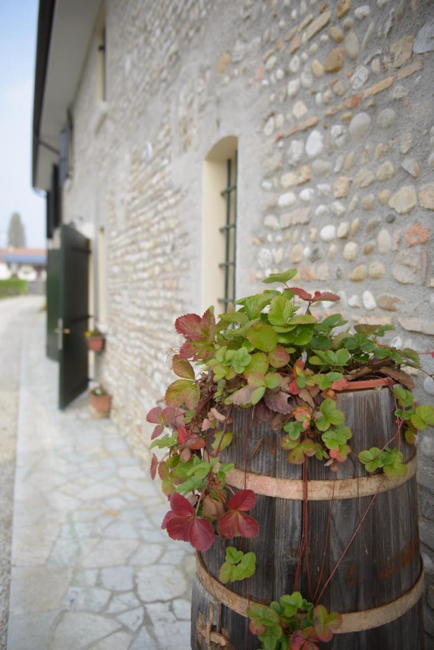 Ca' Premuda Locazione Turistica Villa Codogne Luaran gambar